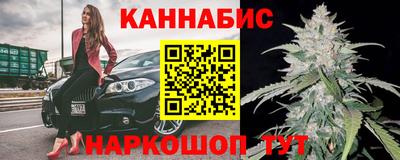 СК Гатчина