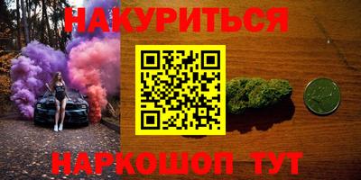 СК Гатчина