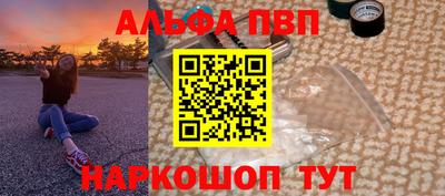 СК Гатчина