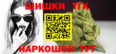 СК Гатчина