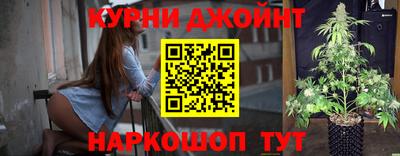 СК Гатчина