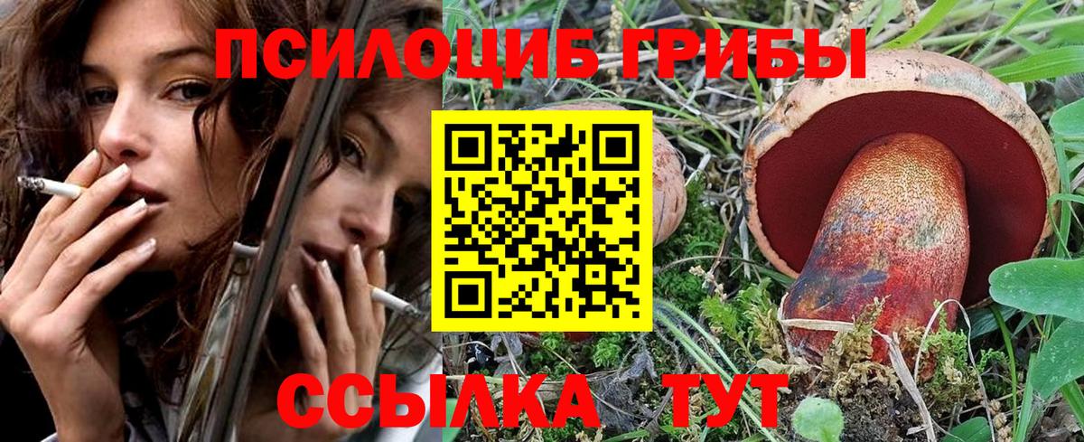 Галлюциногенные грибы Magic Shrooms  Псилоцибиновые грибы мухоморы  Дербент  Вход с VPN 